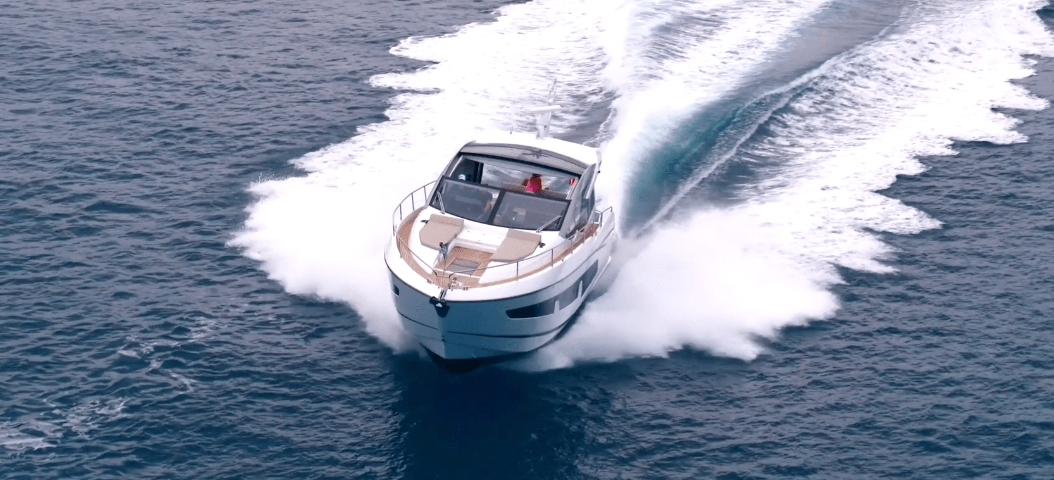 Sunseeker Growing Strong